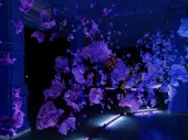 Purple, blob-like shapes in a dark space. 